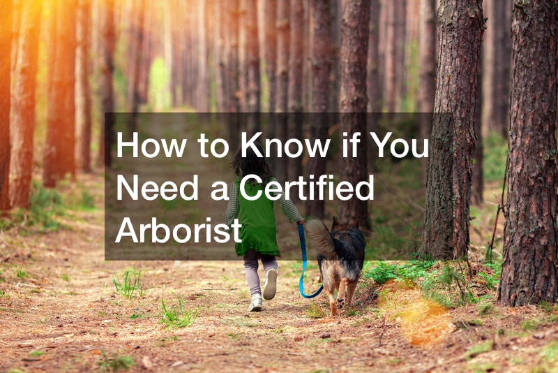 certified arborist